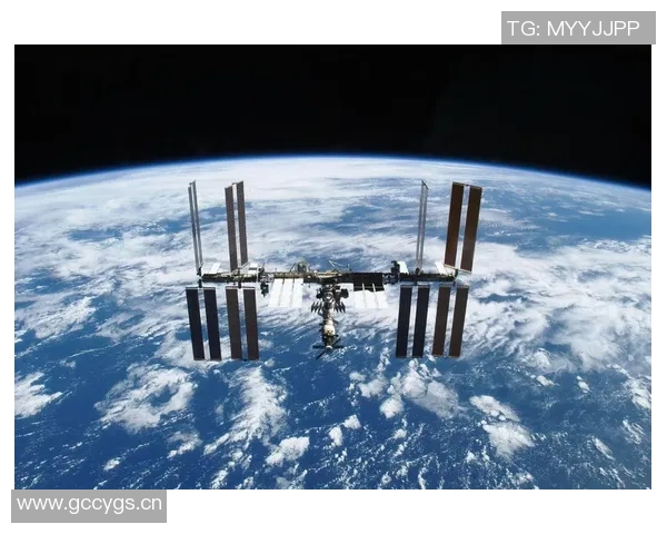 舍什科谈曼联主场进球体验并展望未来进步空间 舍什科谈曼联主场进球体验并展望未来进步空间