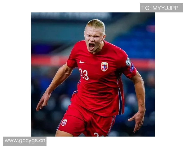 哈兰德回顾国家队旅程全胜晋级世预赛感慨万千美妙时光