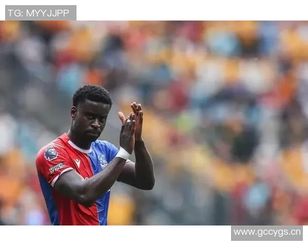 曼城计划明夏重塑防线水晶宫中卫格伊成为首选目标 曼城计划明夏重塑防线水晶宫中卫格伊成为首选目标